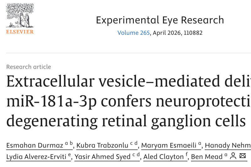 Dr. Öğretim Üyesi Esmahan Durmaz'ın Çalışması Experimental Eye Research Dergisinde Yayımlandı
